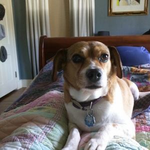 Meet your Posher, Don